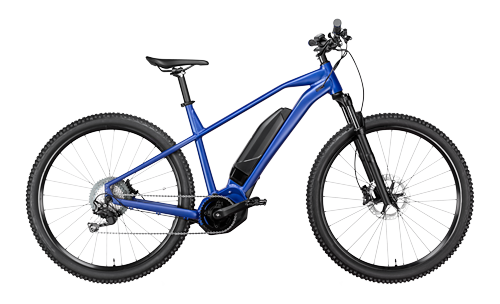 Mit einem E-Mountain-Bike den Berg erklimmen